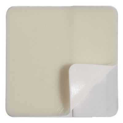 فوم هیدروژل آسکینا ترانسوربنت بی بران