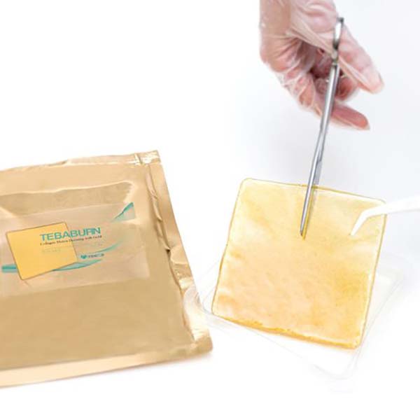 پانسمان کلاژن طبابرن طلا تریتا - تصویر 3